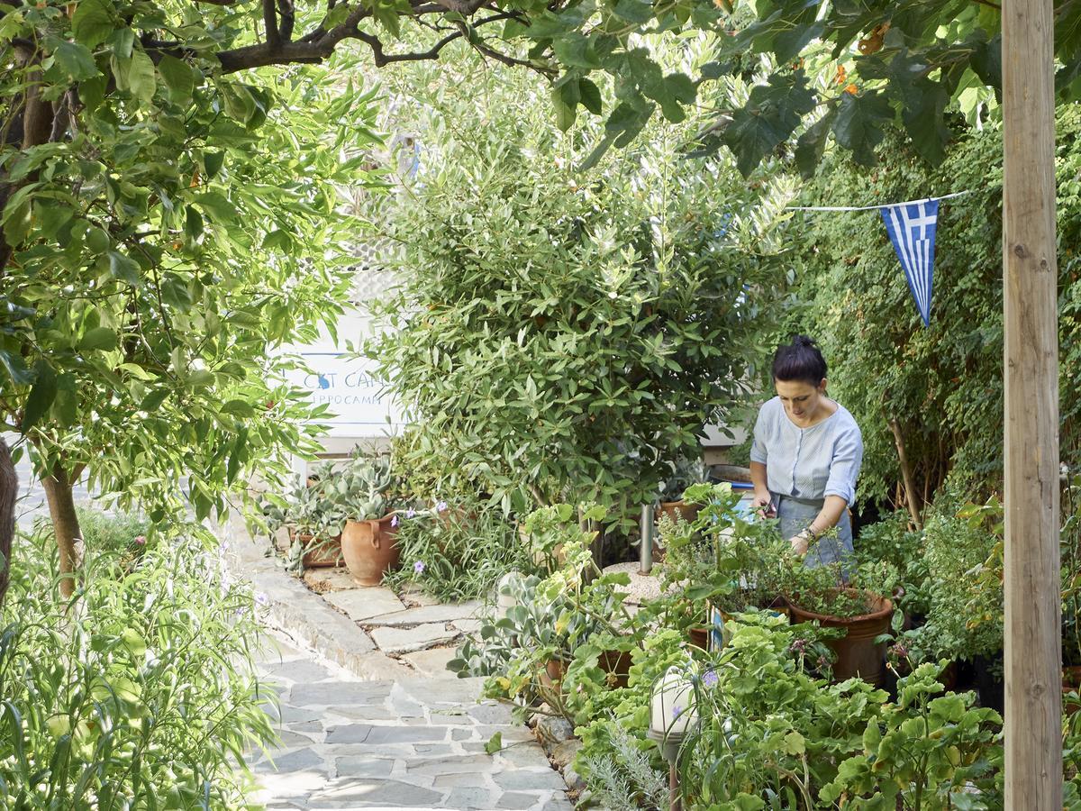Villa Ippocampi - Adults Only Херсониссос Экстерьер фото